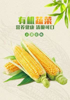 手绘卡通玉米