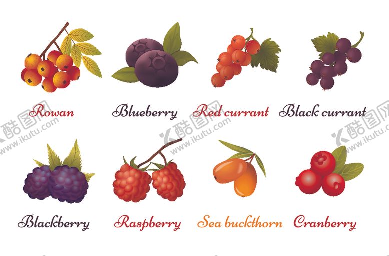 编号：66658310081743032805【酷图网】源文件下载-水果大全