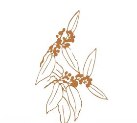 植被