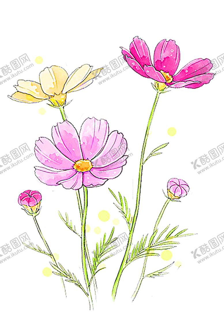 编号：66892009281641494707【酷图网】源文件下载-鲜花装饰