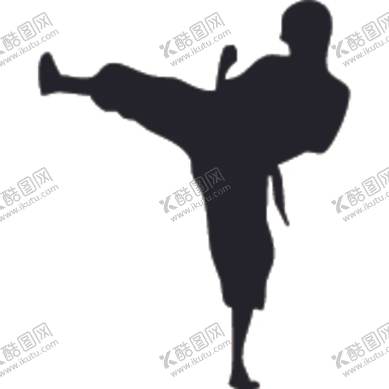 编号：45541204251152566098【酷图网】源文件下载-武术格斗剪影