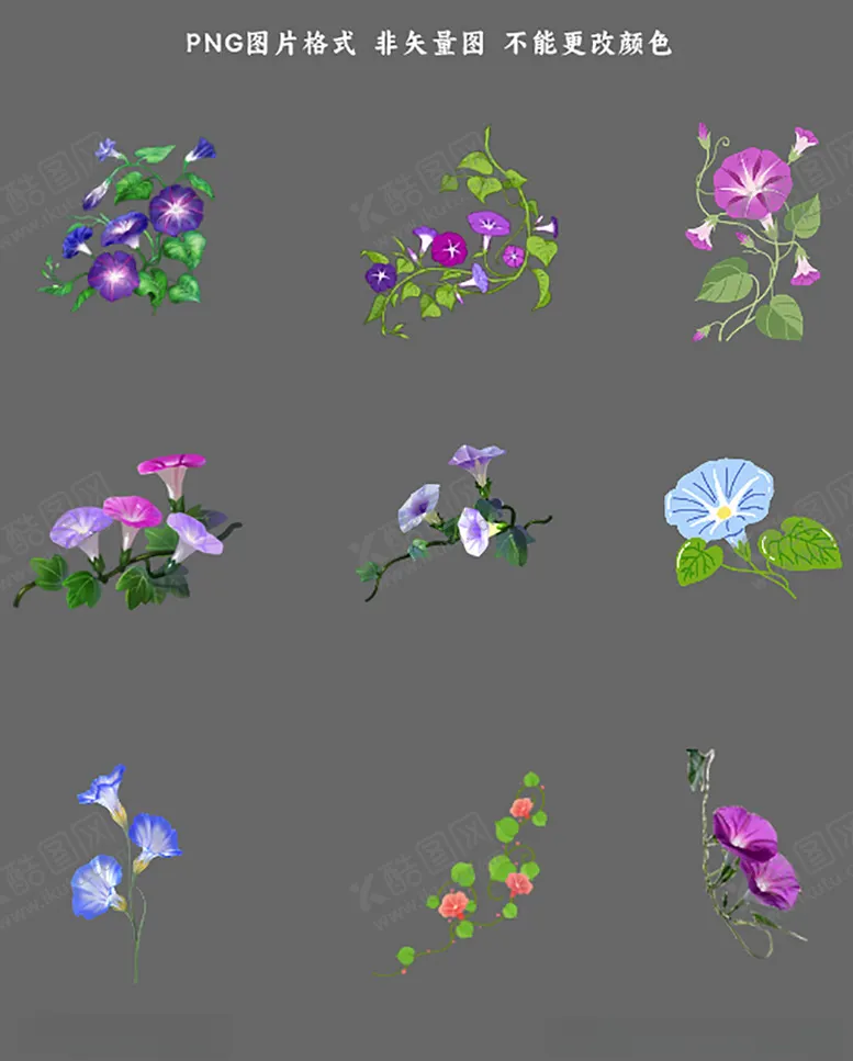 编号：69970404221553192039【酷图网】源文件下载-牵牛花素材