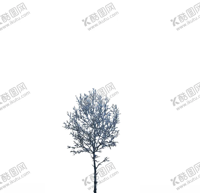 编号：21684106301931411219【酷图网】源文件下载-树木