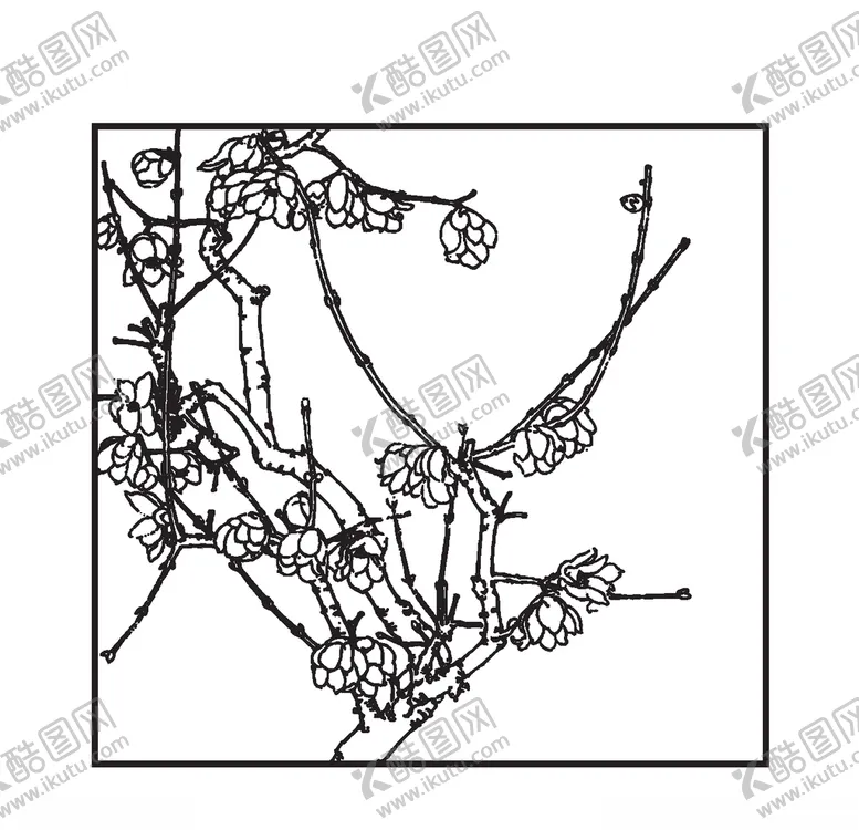 编号：35029307042135456693【酷图网】源文件下载-蜡梅花