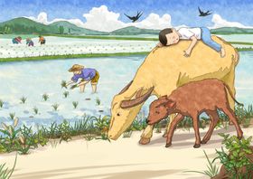 插秧农田牛耕种插画