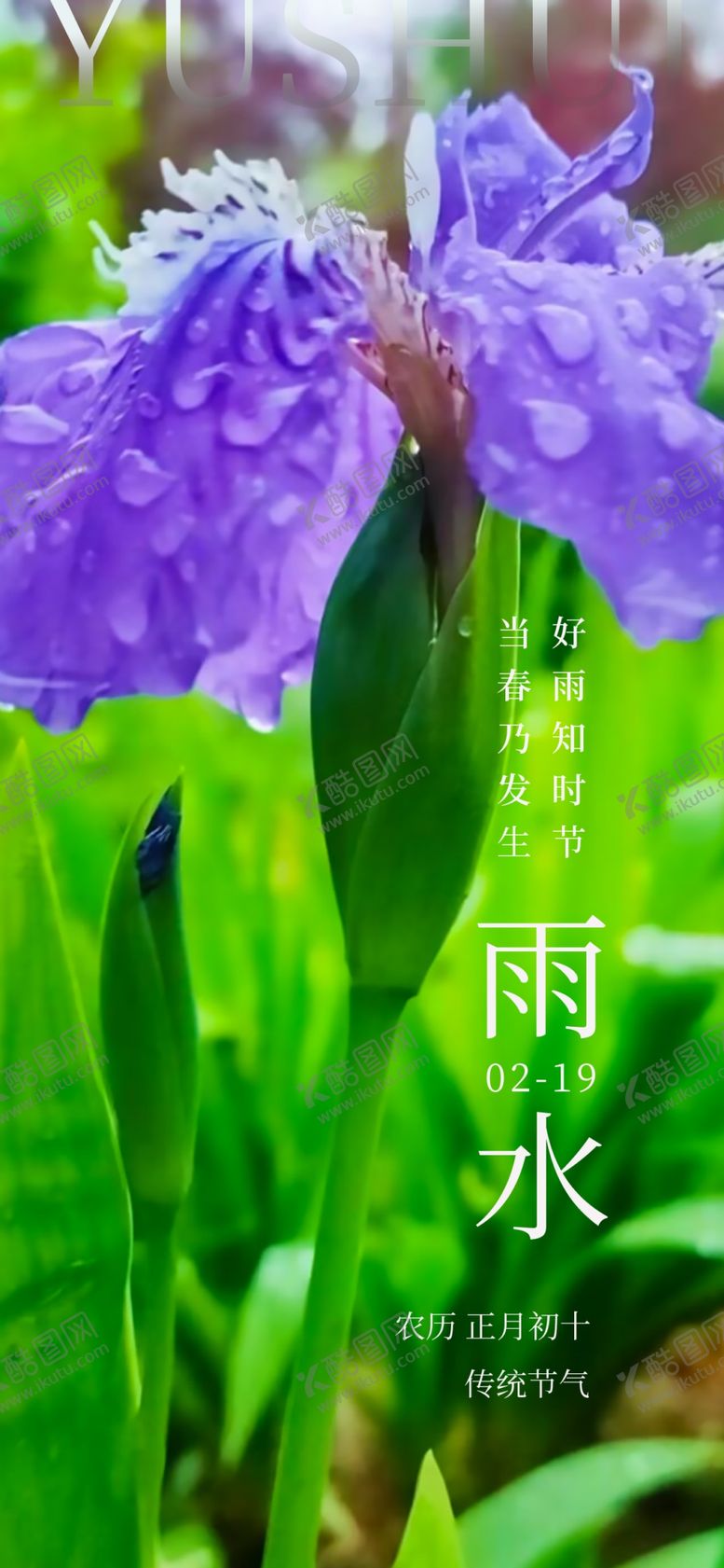 编号：61277401130213192957【酷图网】源文件下载-雨水节气