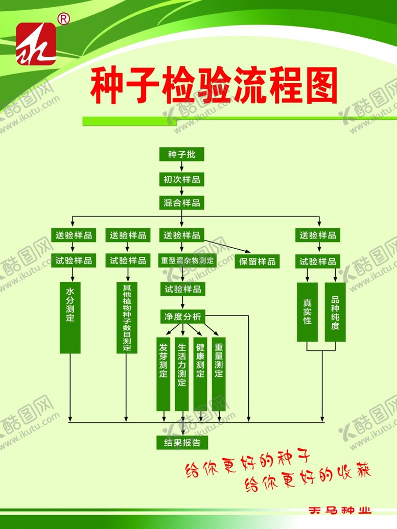 编号：90124602282037473162【酷图网】源文件下载-种子检验流程图