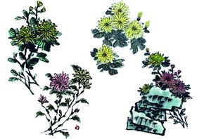 中国风水墨菊花