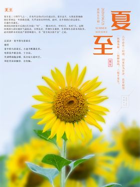 夏至单页广告天海报