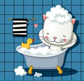 沐浴猫咪