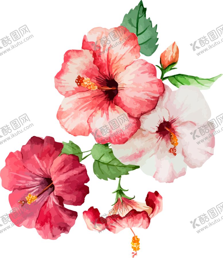编号：74240507072325234686【酷图网】源文件下载-鲜花素材