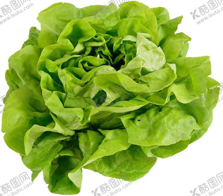 编号：62566309240019458220【酷图网】源文件下载-高品质的食物