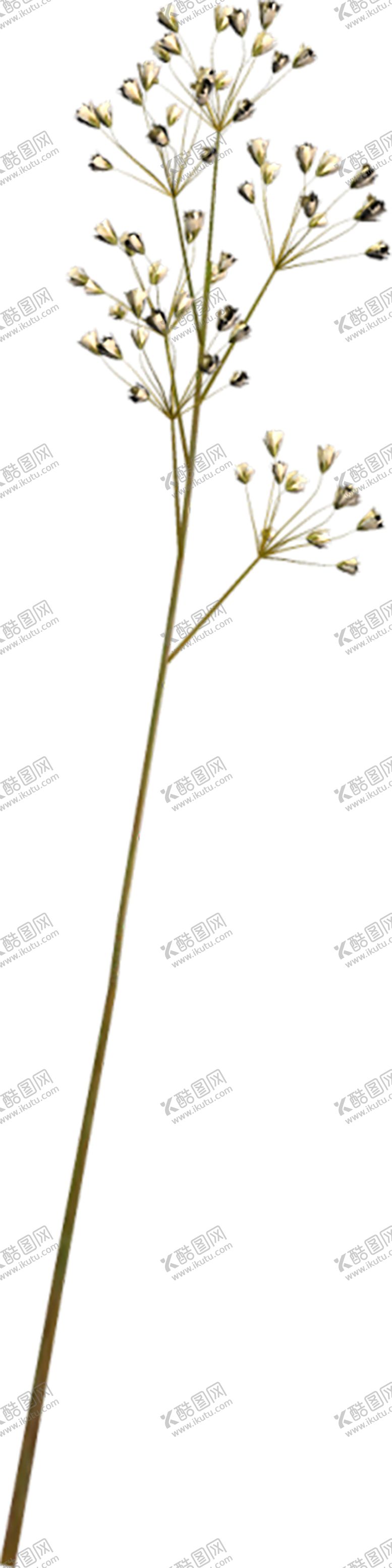 编号：95568709271455043027【酷图网】源文件下载-鲜花素材