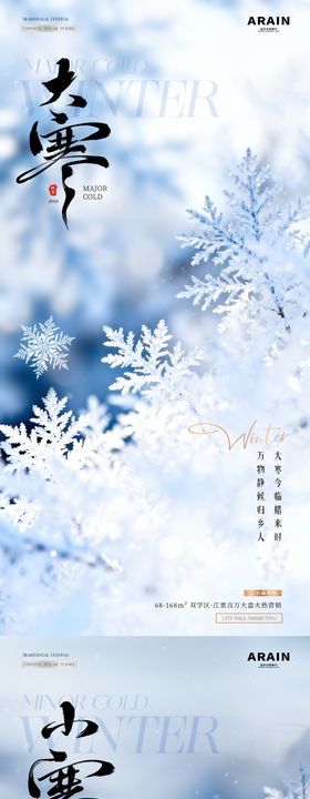 地产小寒大寒冬天雪花雪地海报