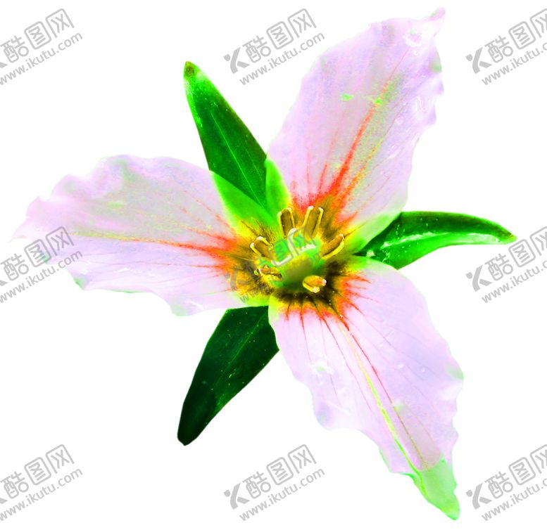 编号：81259707041213084538【酷图网】源文件下载-花素材