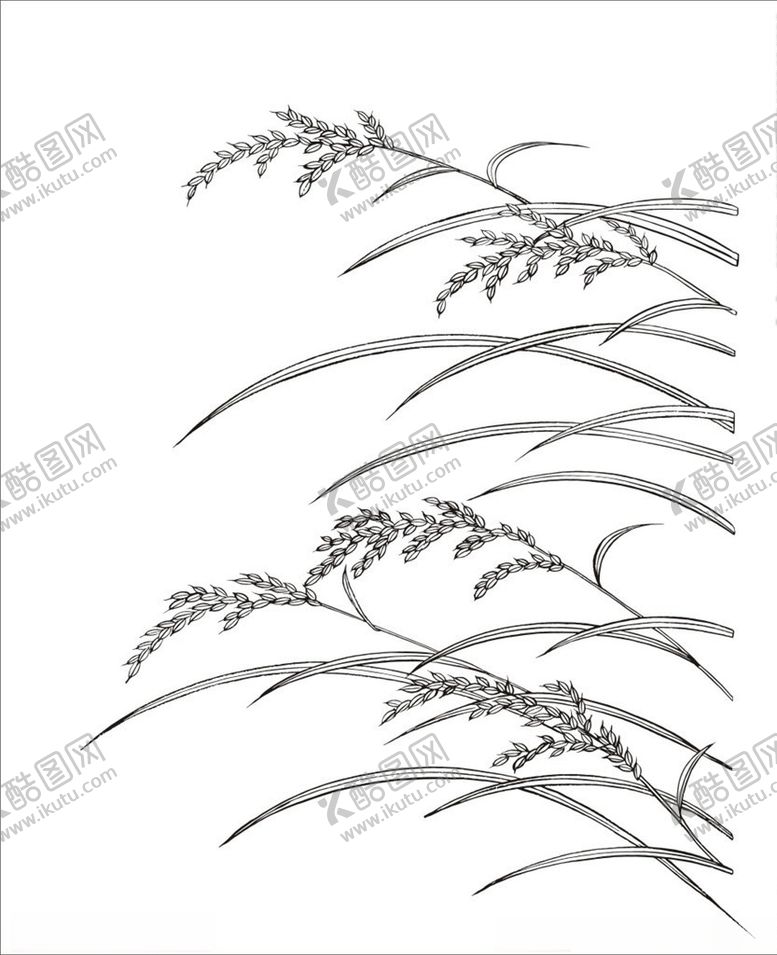 编号：23320707081442437561【酷图网】源文件下载-麦穗手绘