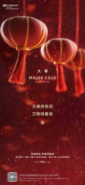大寒二十四节气海报下雪