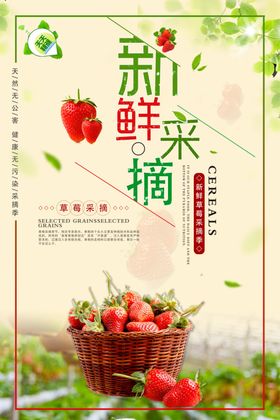 新鲜采摘草莓