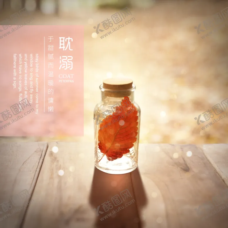 编号：67590505041732415349【酷图网】源文件下载-秋枫落叶