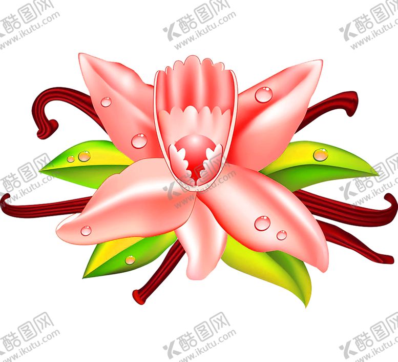 编号：10908209211417545348【酷图网】源文件下载-鲜花素材