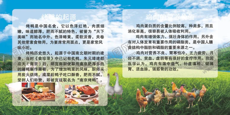 编号：30033302240927475209【酷图网】源文件下载-烤鸭