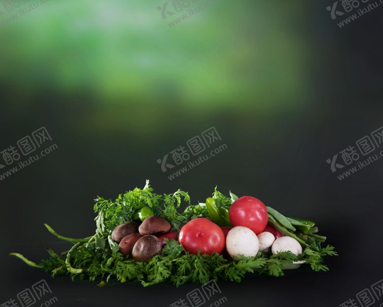 编号：69269009181022379018【酷图网】源文件下载-影楼摄影