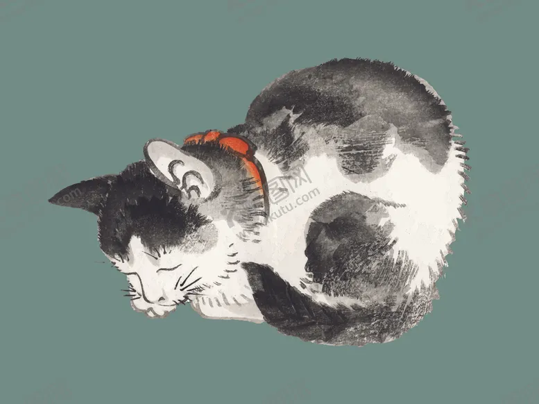 编号：59553104070646056464【酷图网】源文件下载-猫咪