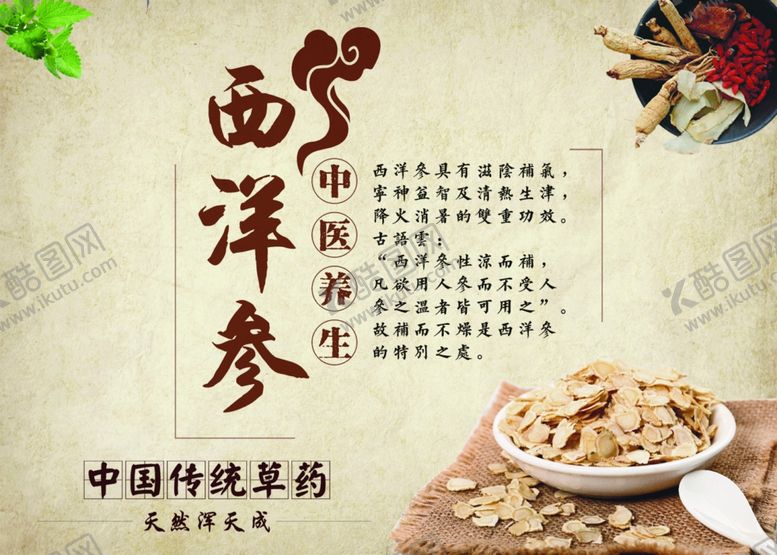 编号：90903809261555262798【酷图网】源文件下载-西洋参