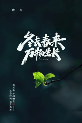 立春海报大方24节气手机