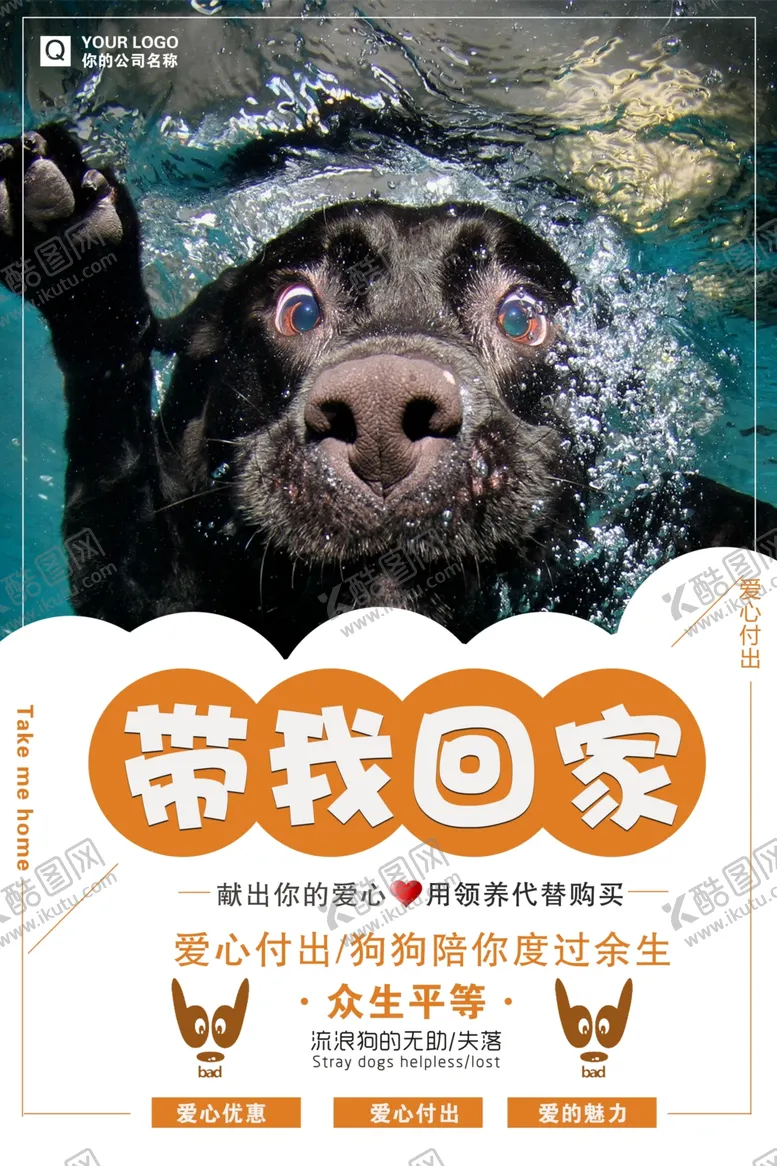 编号：32274706260744247469【酷图网】源文件下载-宠物海报