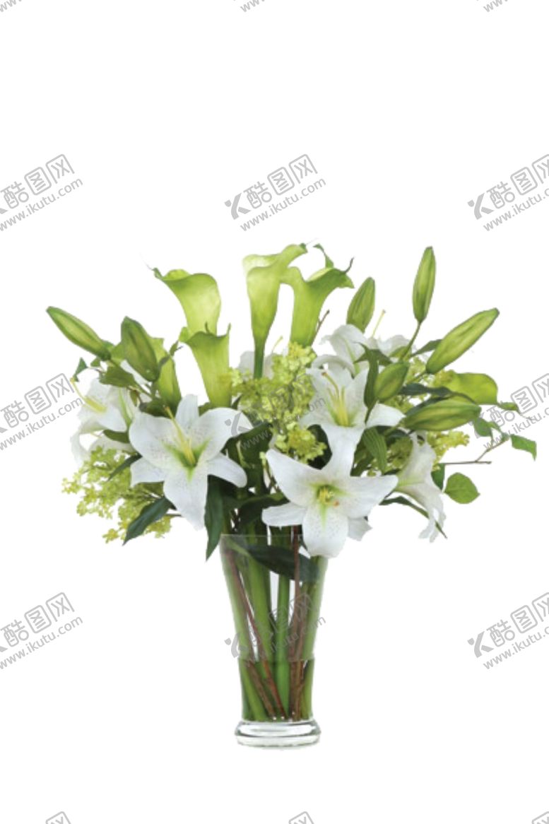 编号：35897107041859009291【酷图网】源文件下载-免抠背景花草树木