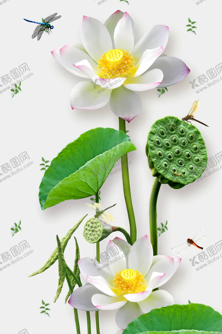 编号：38904509181126520127【酷图网】源文件下载-植物装饰画
