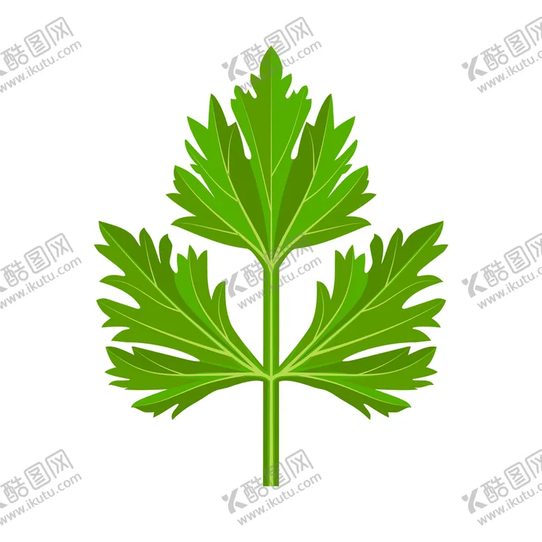 编号：86743810251819243976【酷图网】源文件下载-卡通香菜