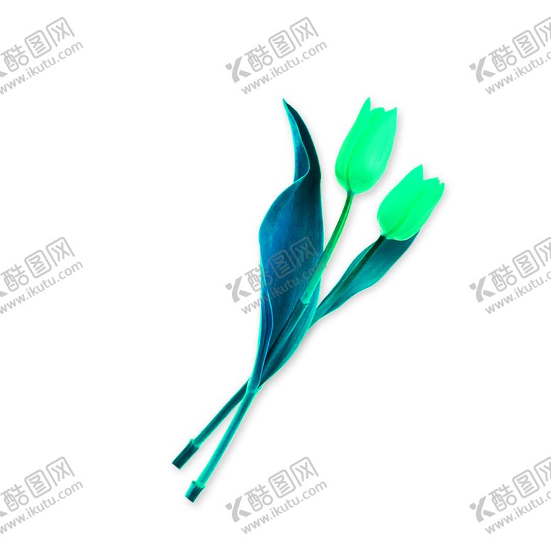 编号：51686509260054487083【酷图网】源文件下载-花素材