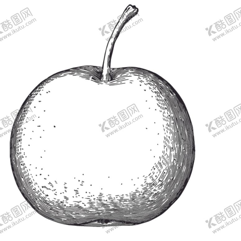 编号：54567509251812004001【酷图网】源文件下载-水果绘画线稿图案