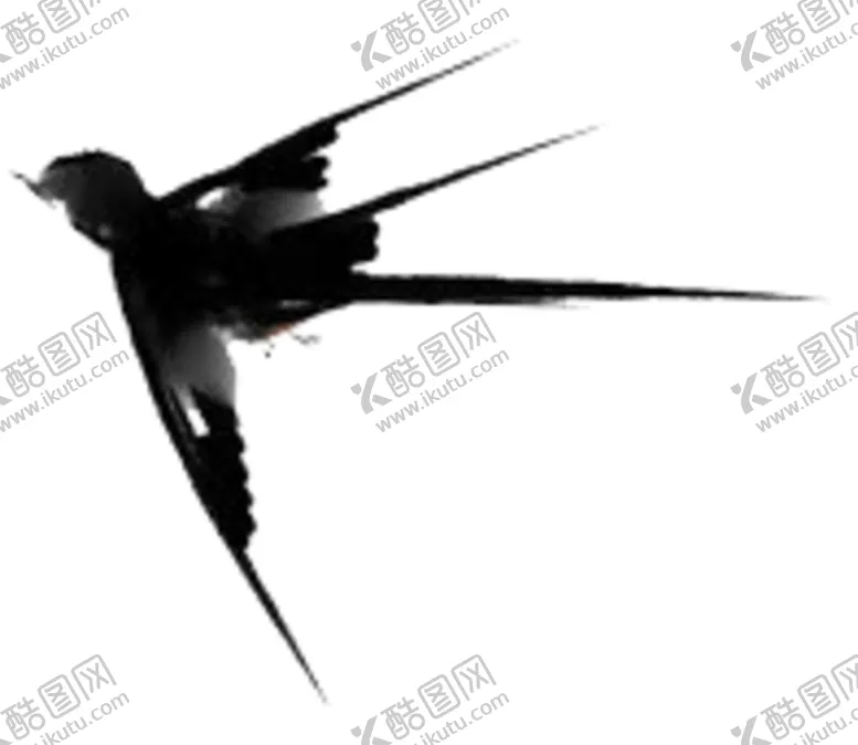 编号：52507407020256123899【酷图网】源文件下载-燕子素材