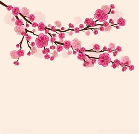 樱花