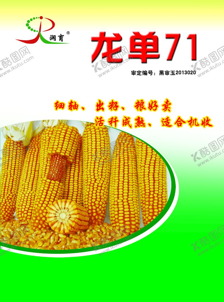 编号：61948710011523160781【酷图网】源文件下载-玉米种子传单