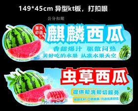 西瓜异型kt板