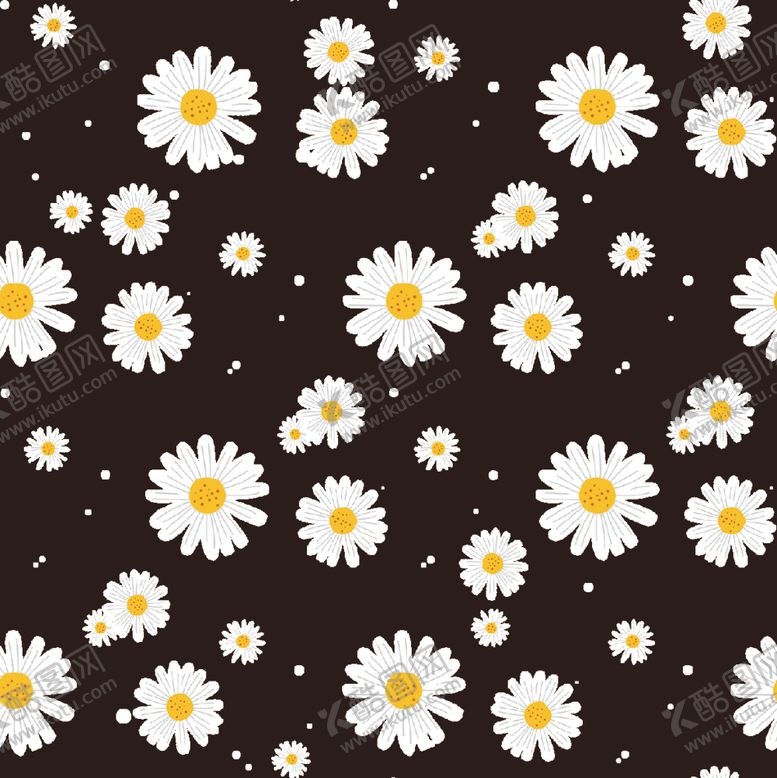 编号：50911509130617321307【酷图网】源文件下载-菊花