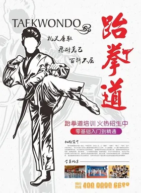 跆拳道海报