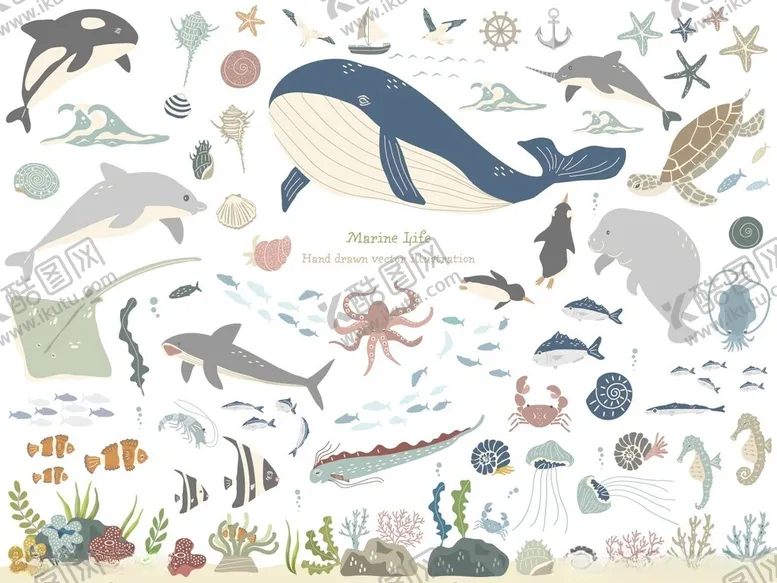 编号：25510506292000143997【酷图网】源文件下载-海洋生物插画集合