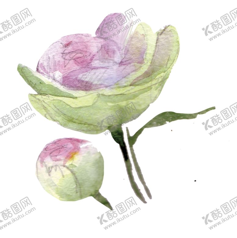 编号：45873110181220442836【酷图网】源文件下载-花朵