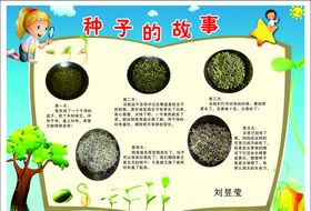 种子故事