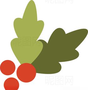 圣诞果