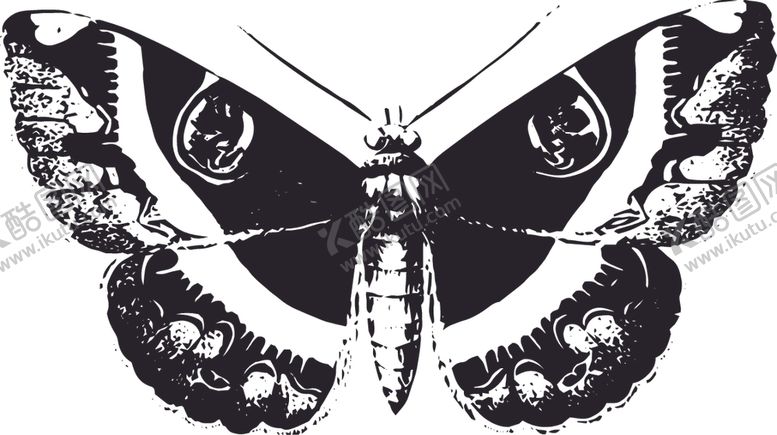 编号：91606510291425432390【酷图网】源文件下载-自然昆虫标本插画