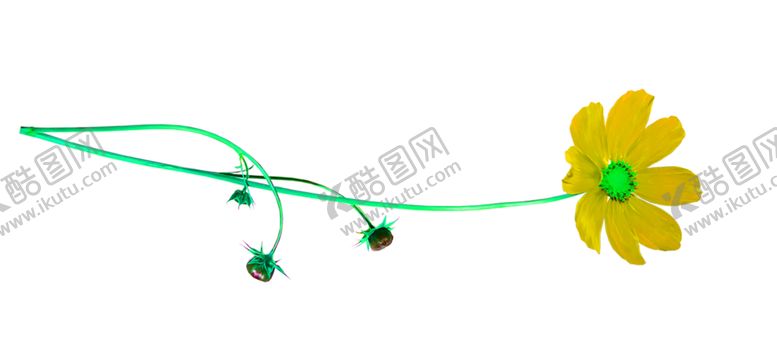 编号：20008110292134237681【酷图网】源文件下载-浪漫素材