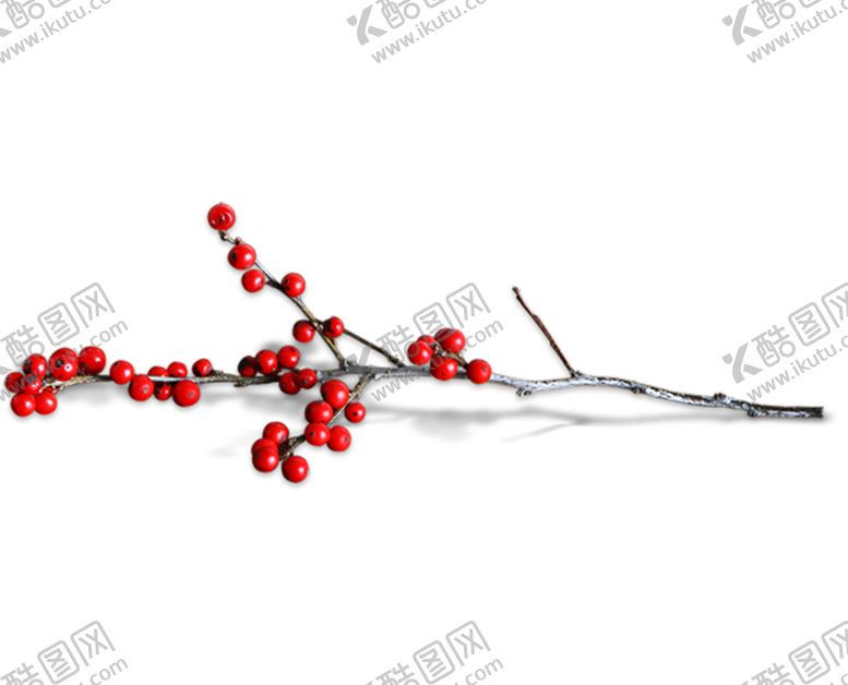 编号：60264410010950173307【酷图网】源文件下载-水果