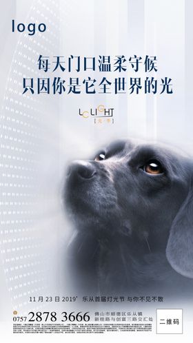 灯光节动物