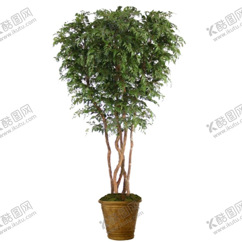 编号：38123010261640155857【酷图网】源文件下载-免抠背景花草树木